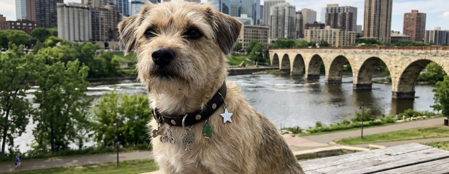 Minneapolis pet charm