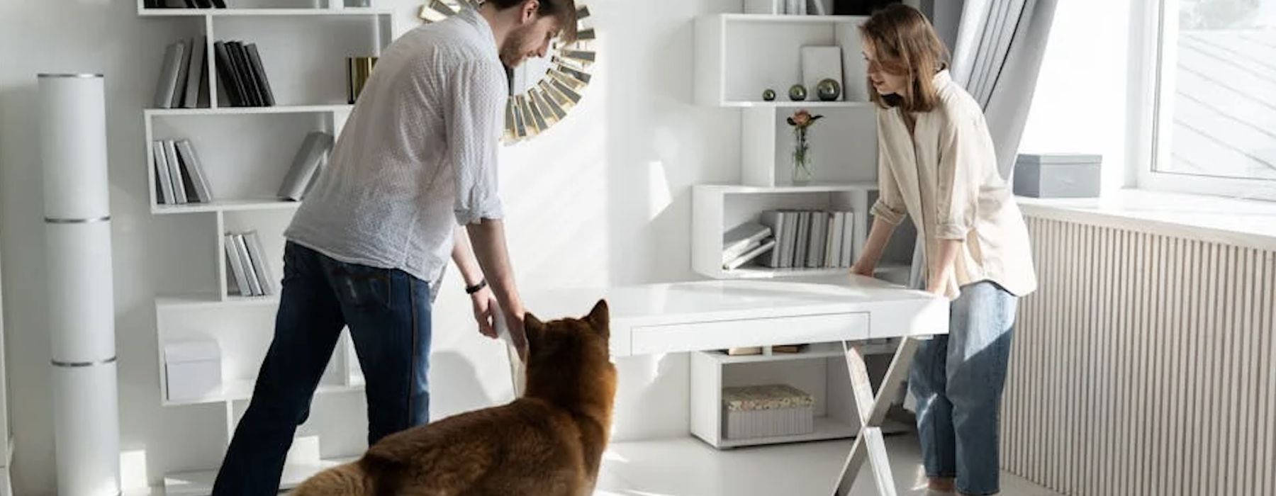 pet-friendly apartment search - pet-friendly apartments