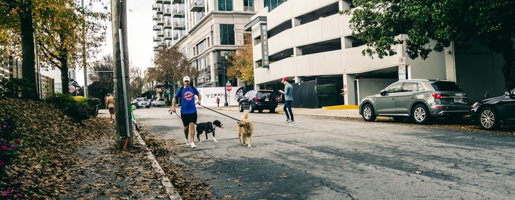 apartments with dog run - apartments with dog run